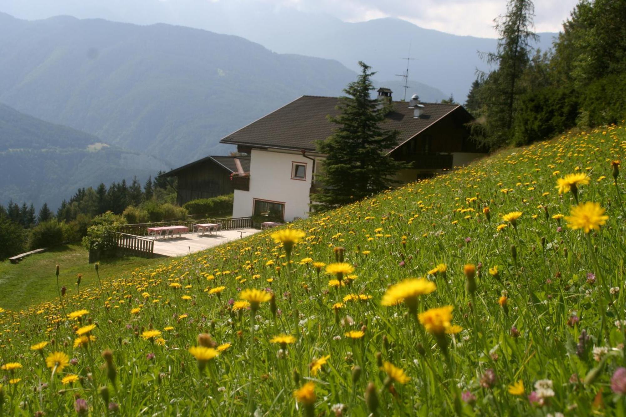 Biogasthaus Plonerhof Bressanone Exterior photo